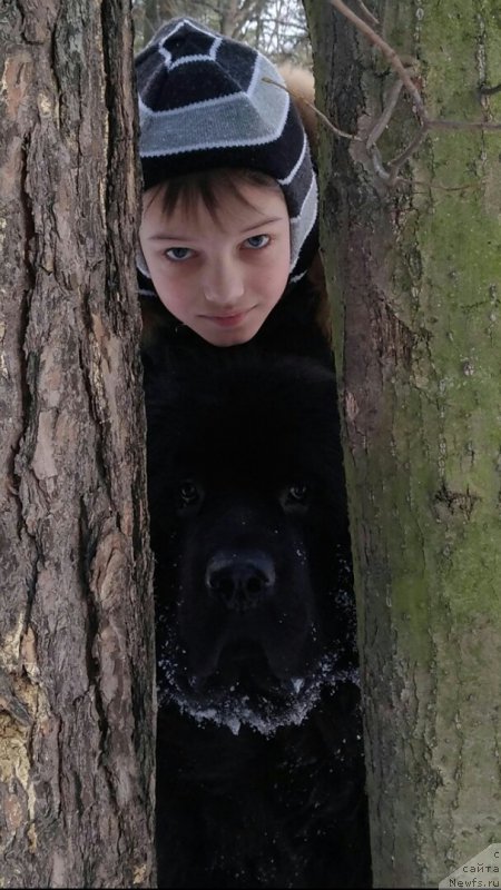 Фотография № 221597