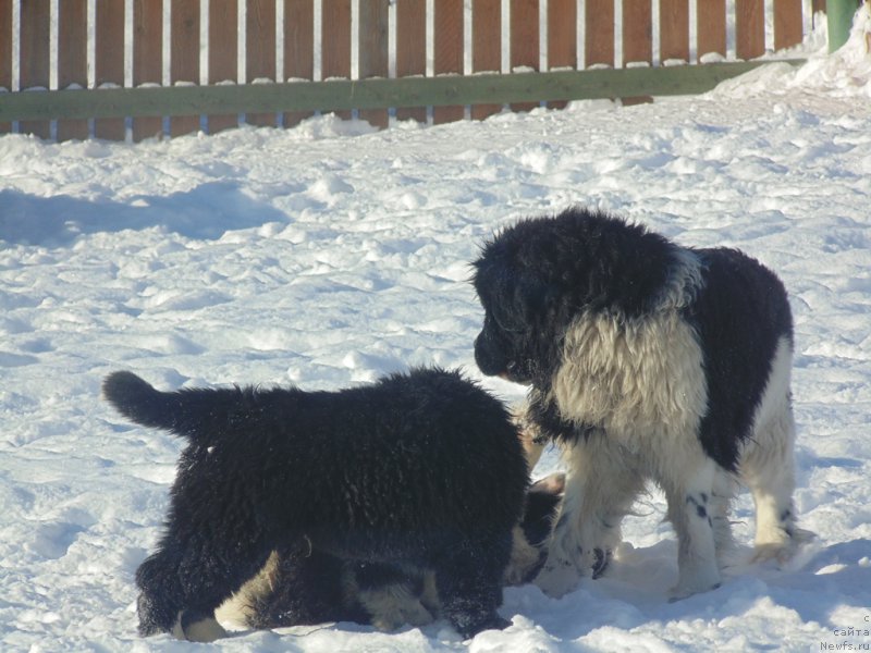 Фотография № 221608