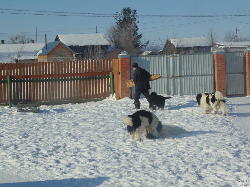 Фотография № 221620