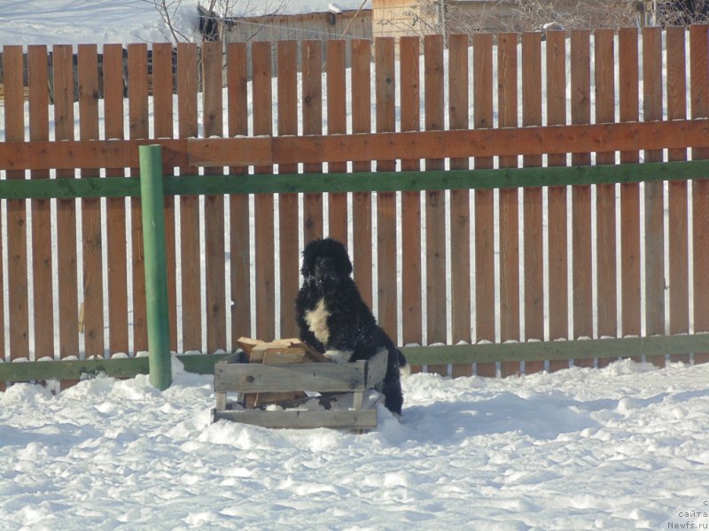 Фотография № 221623