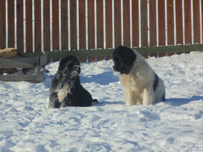 Фотография № 221631