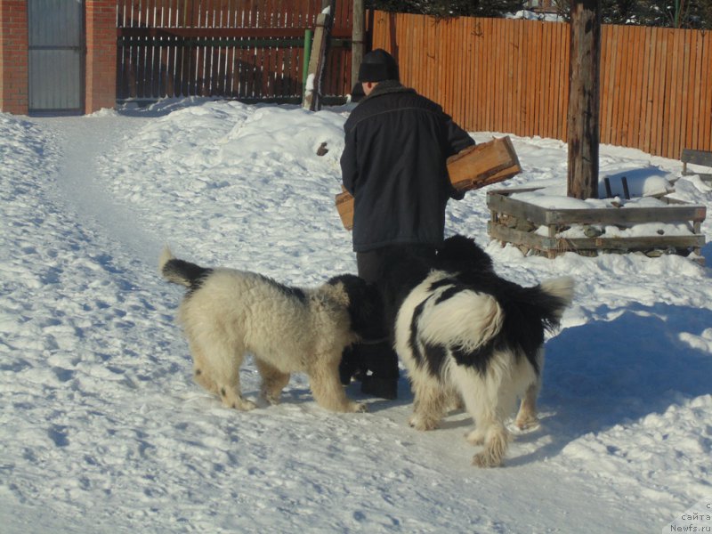 Фотография № 221633