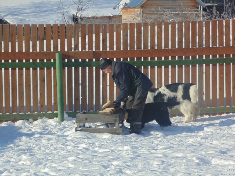 Фотография № 221634