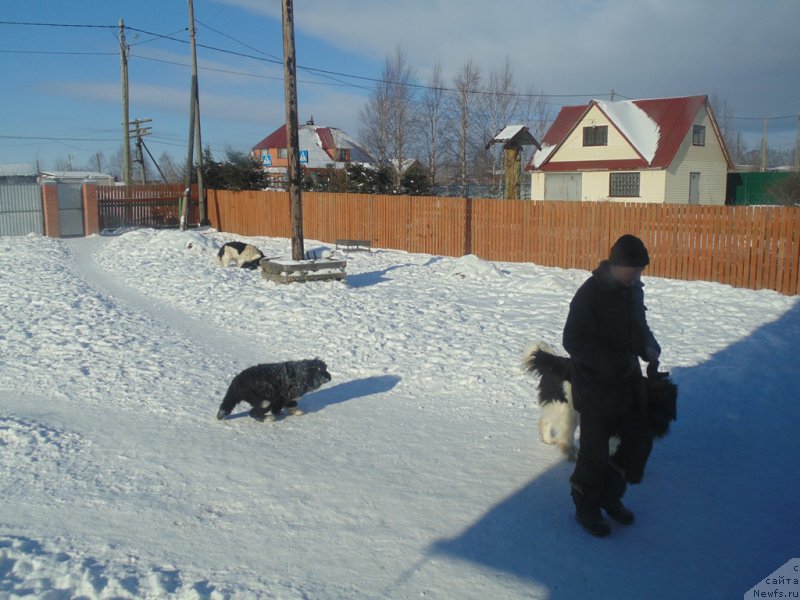 Фотография № 221637