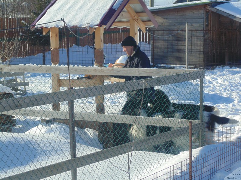 Фотография № 221639