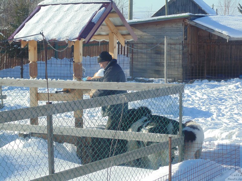 Фотография № 221640