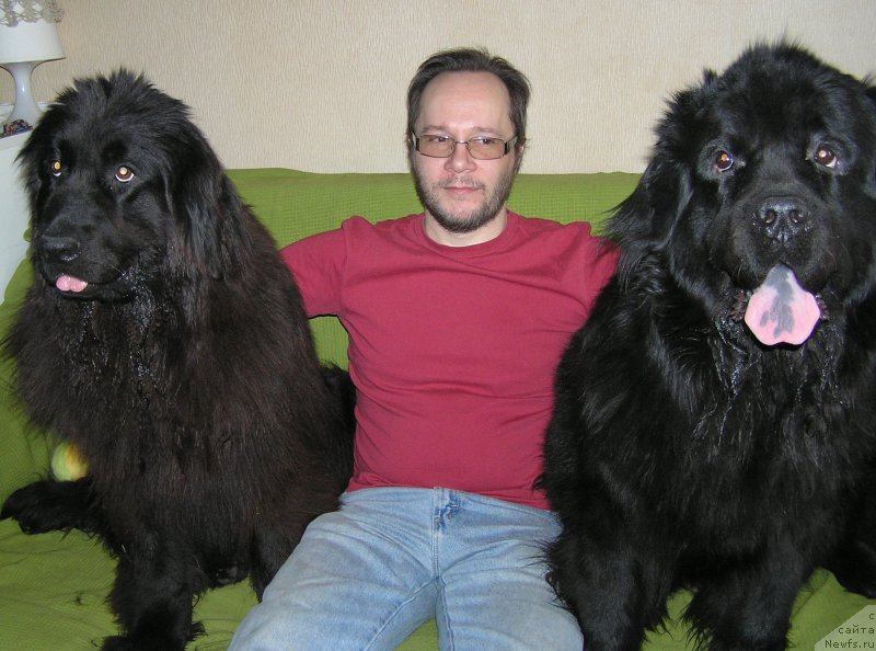 Фотография № 221663