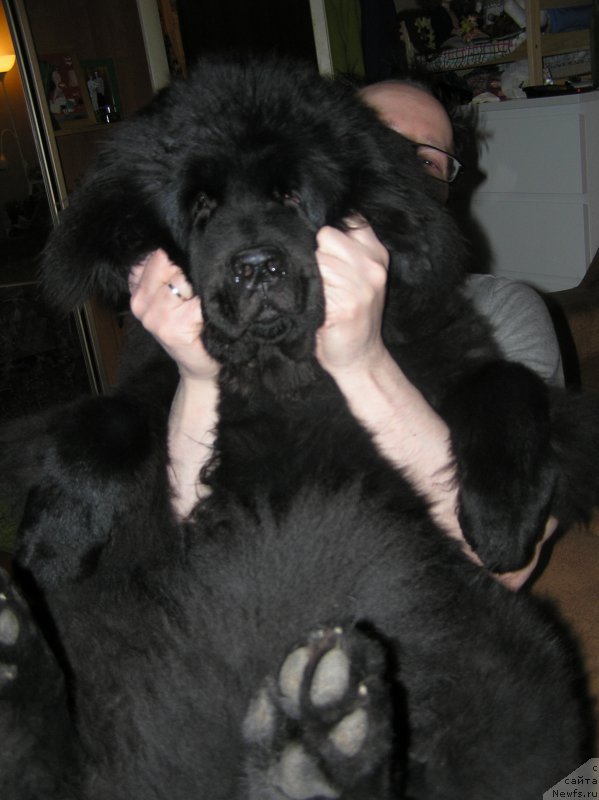 Фотография № 221665