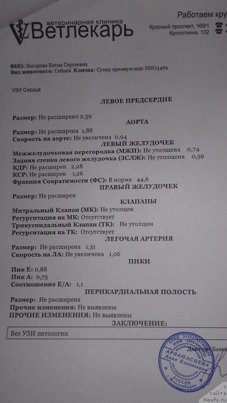 Фотография № 221668