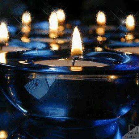 Фотография № 221677