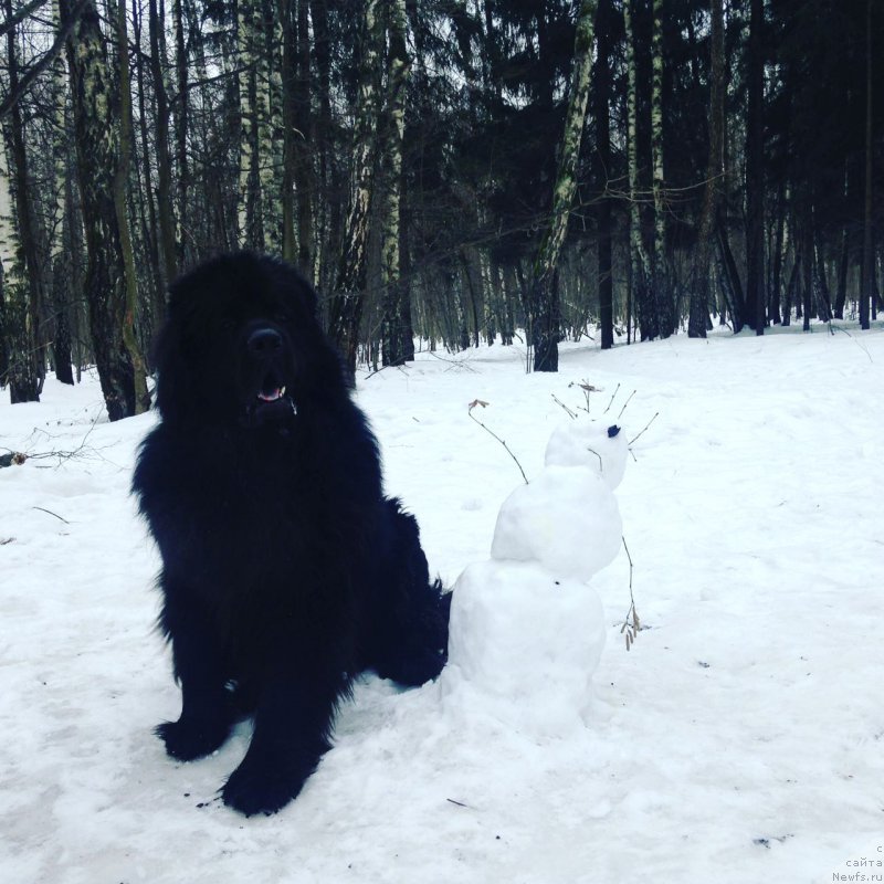 Фотография № 221679