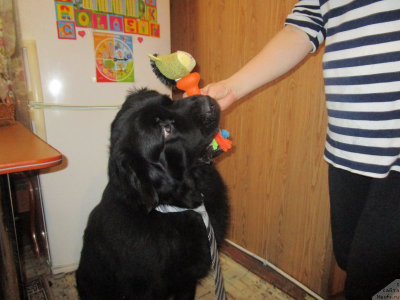 Фотография № 221681