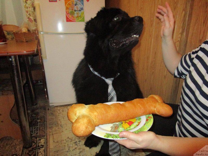 Фотография № 221684