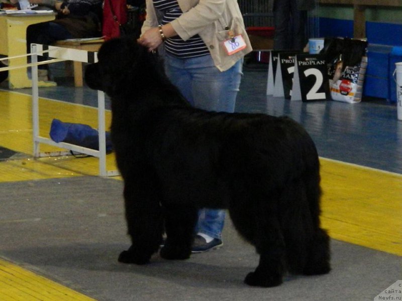 Фотография № 221725