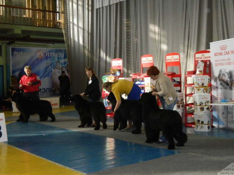 Фотография № 221727