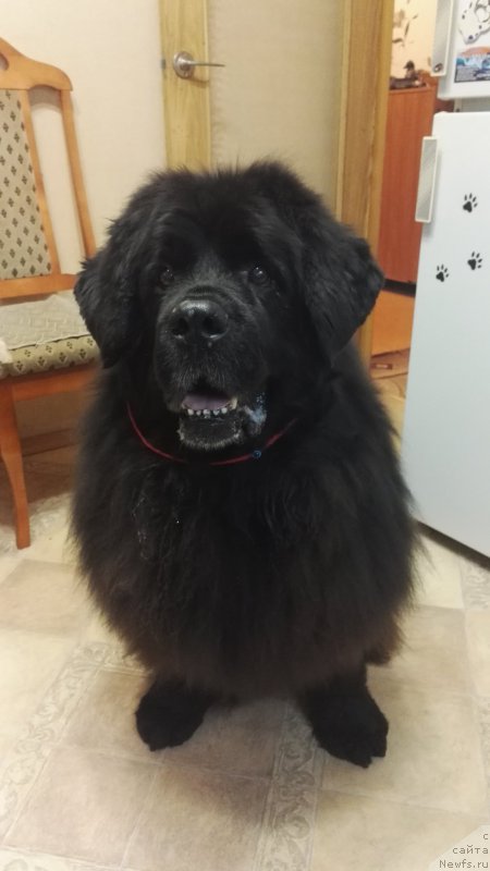 Фотография № 221731