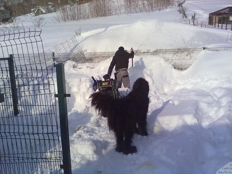 Фотография № 221769