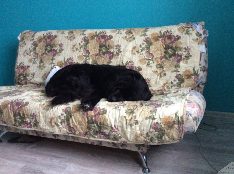 Фото: Igor' Sorokin (Игорь Сорокин)