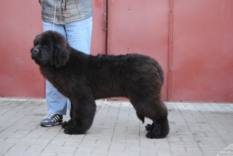 Фотография № 221802