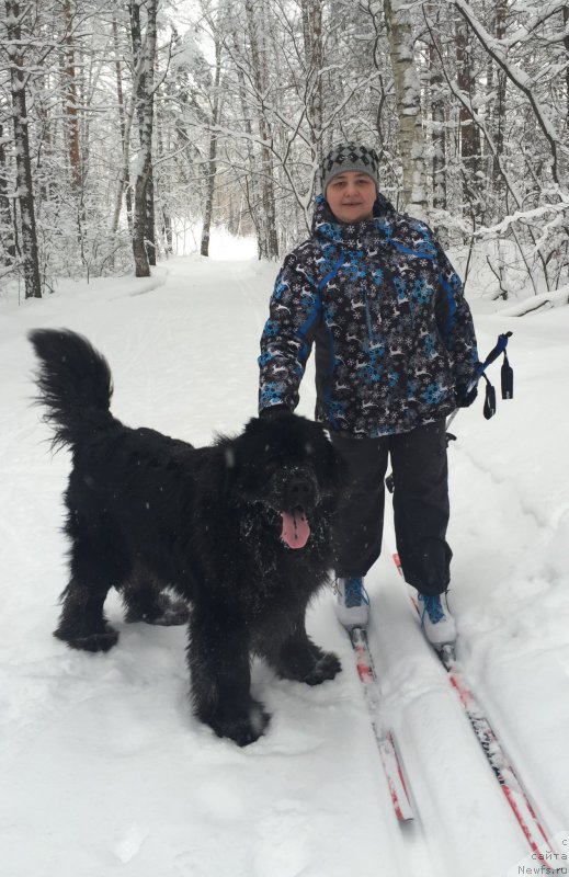 Фотография № 221831