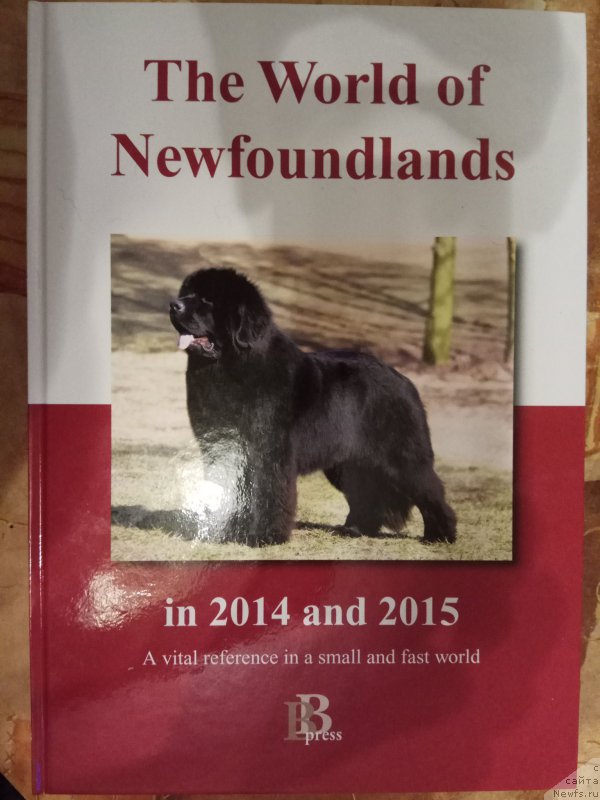 Фотография № 221922