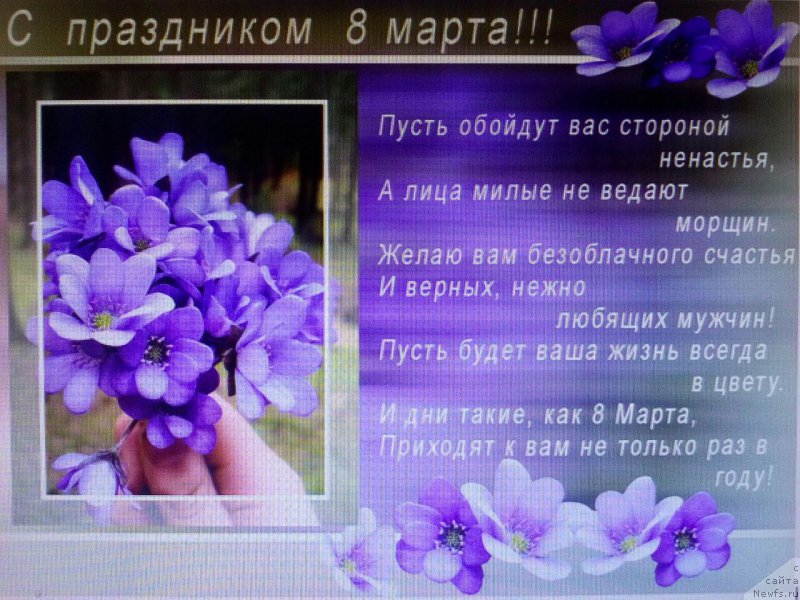 Фотография № 221944