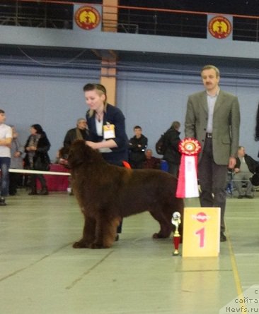 Фотография № 221992