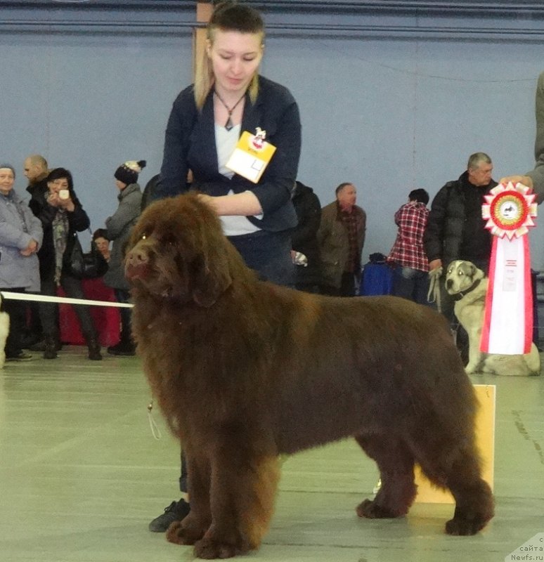 Фотография № 221993