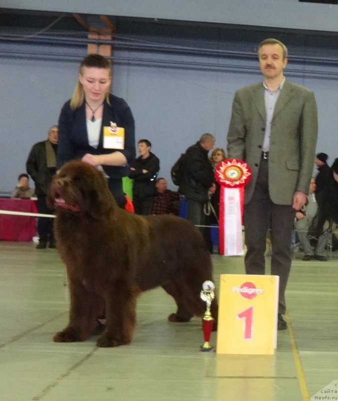 Фотография № 221994