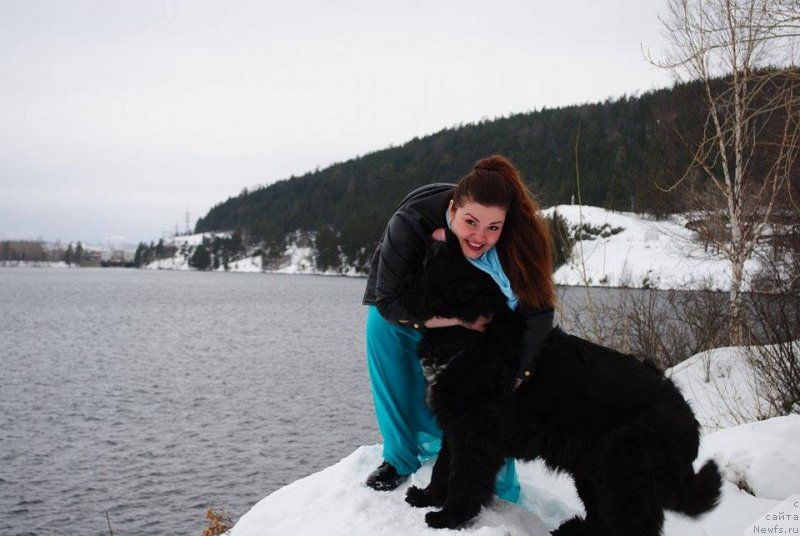 Фотография № 221997