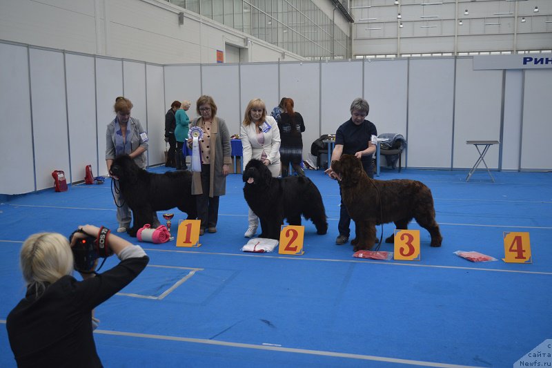 Фотография № 222002