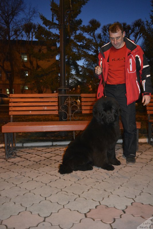 Фотография № 222003