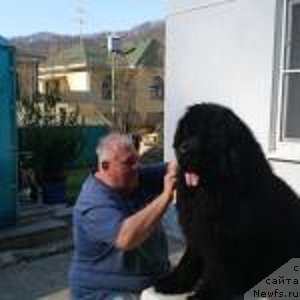 Фотография № 222018