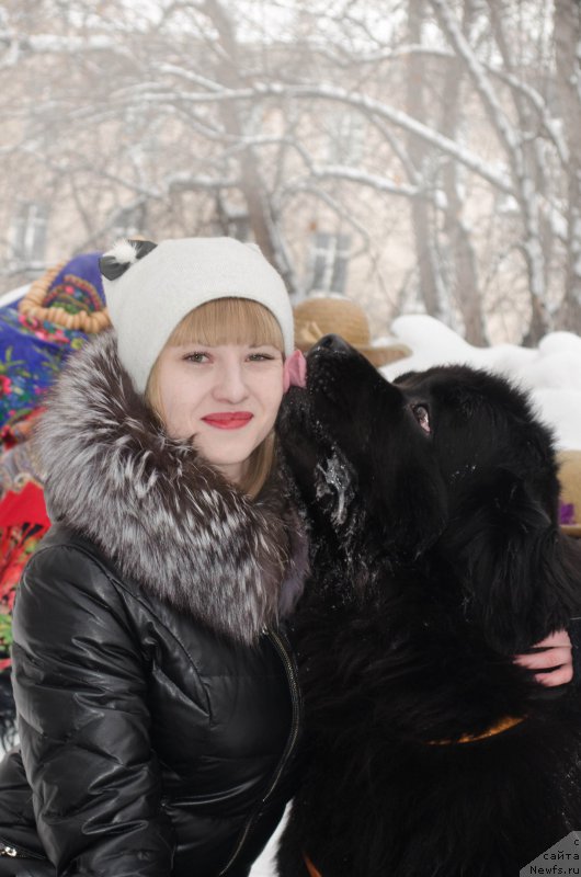 Фото: ньюфаундленд Fiamettahauz Nusakan (Фиаметтахауз Нусакан)