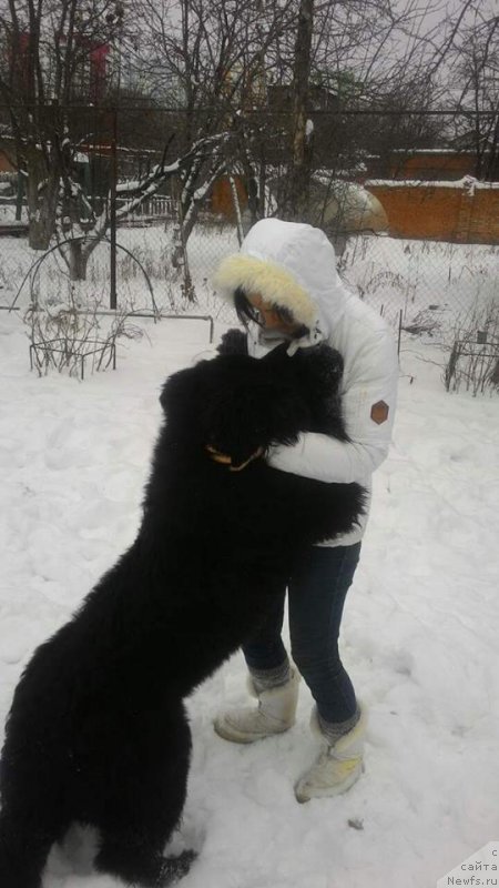 Фотография № 222028