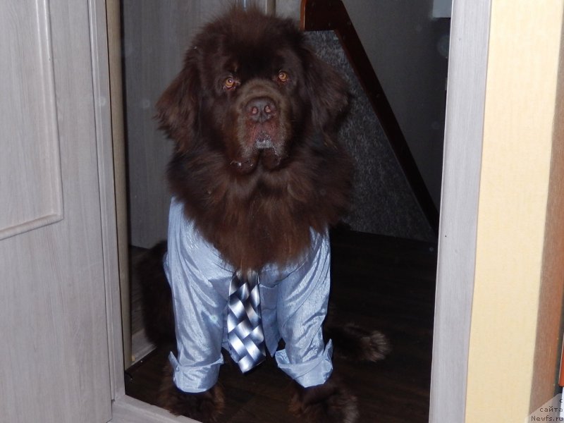 Фотография № 222109