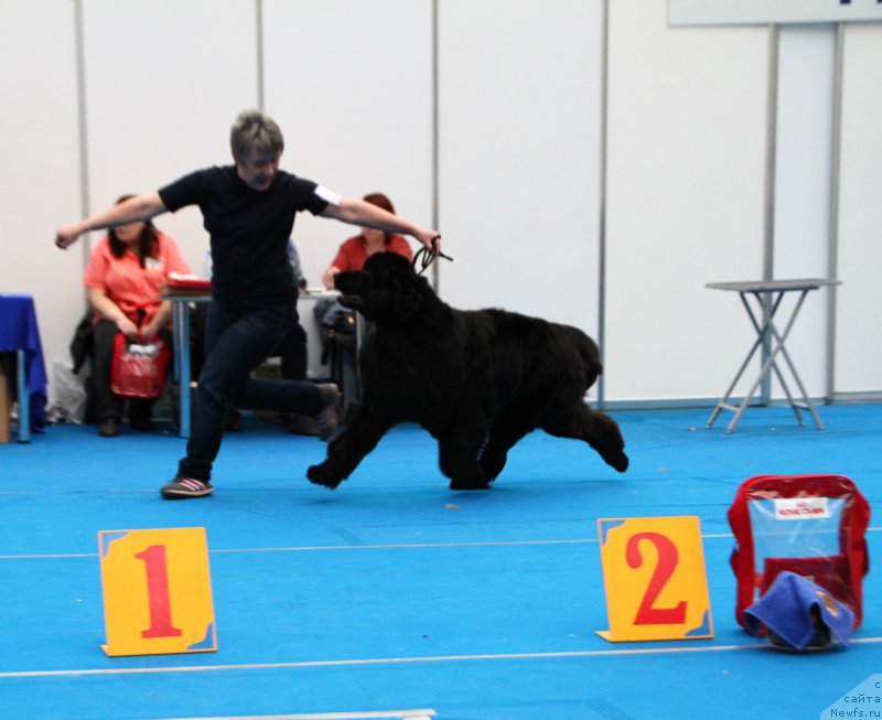 Фотография № 222146