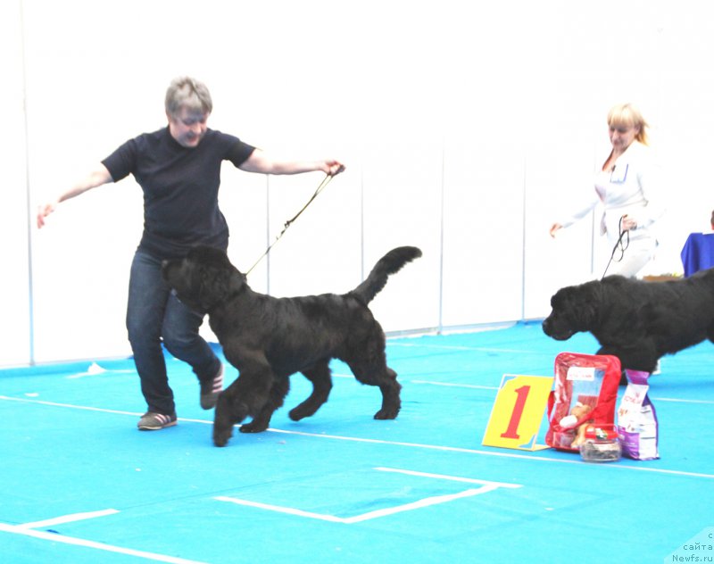 Фотография № 222148