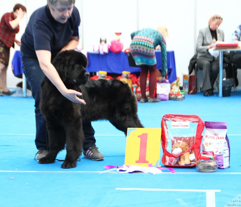 Фотография № 222149