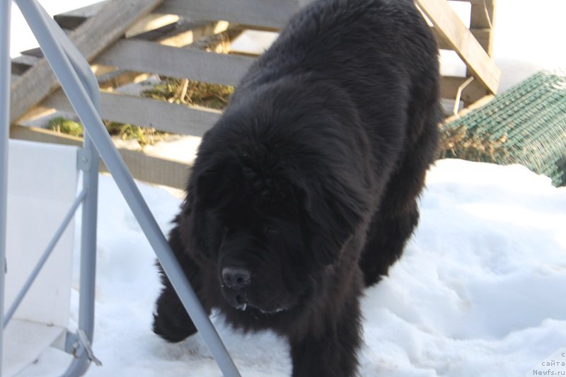 Фотография № 222164