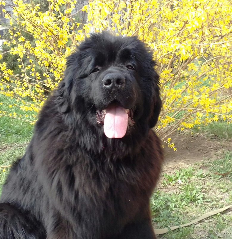 Фотография № 222176