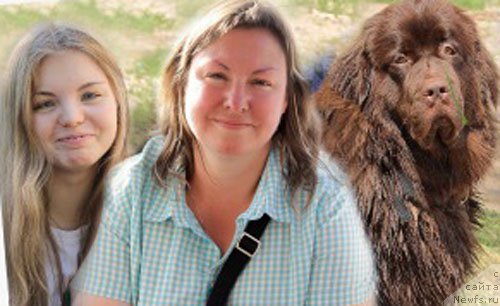 Фото: Irina Konischeva (Ирина Конищева), ньюфаундленд Brownblood MSK Zhanara Haya (Браунблад МСК Жанара Хайя)