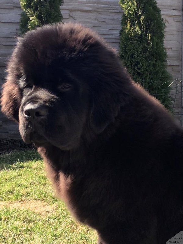 Фотография № 222237