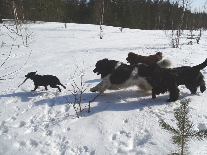 Фотография № 222307