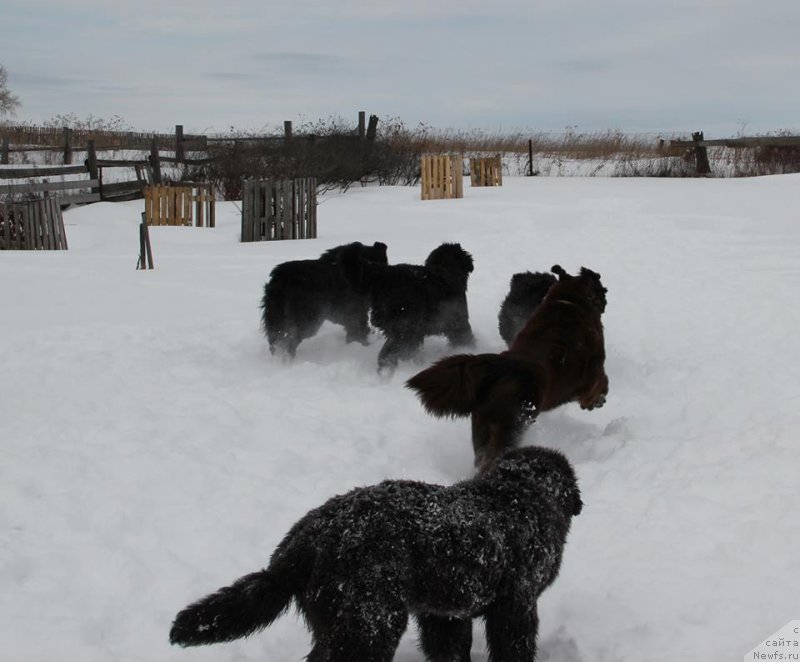 Фото: Irina Panyushkina (Ирина Панюшкина)