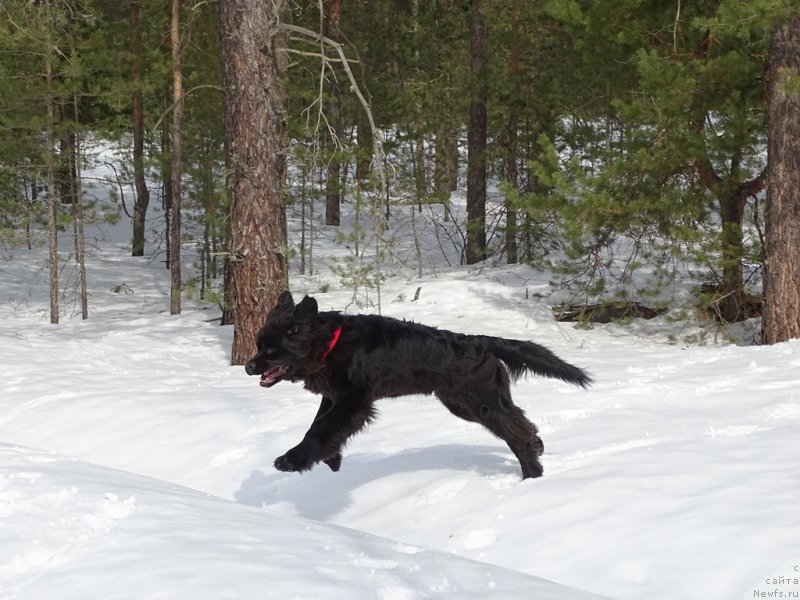 Фотография № 222342