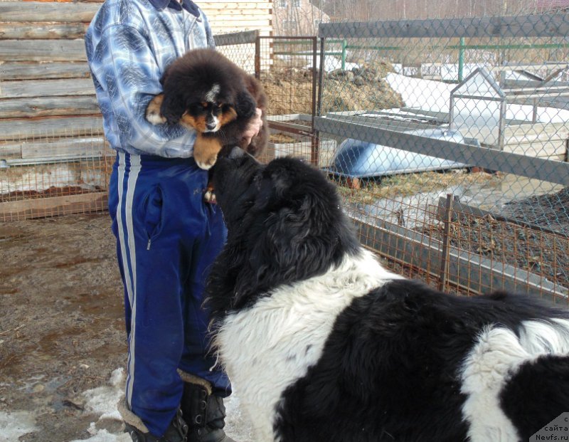 Фотография № 222391