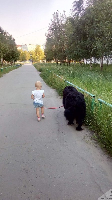 Фотография № 222398