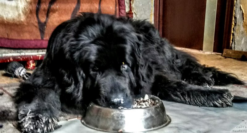 Фотография № 222412