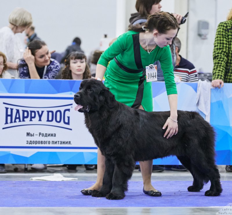 Фотография № 222433